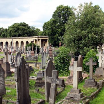 Visiting the past – Brompton Cemetery